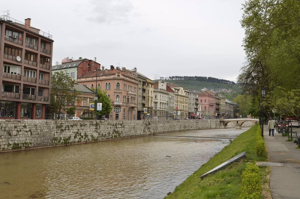 Tranquil Forest Setting