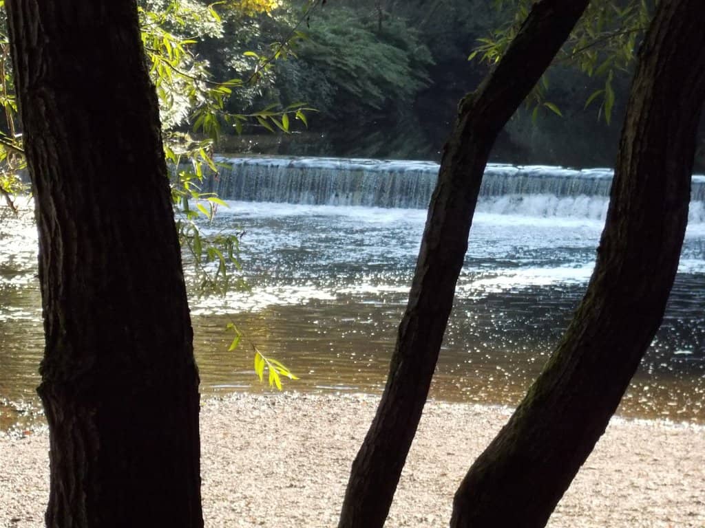 Woodland Trails & Nature