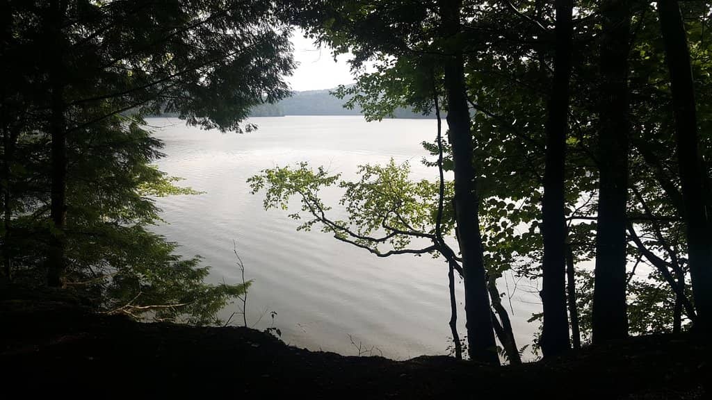 Ricker Basin Ghost Village