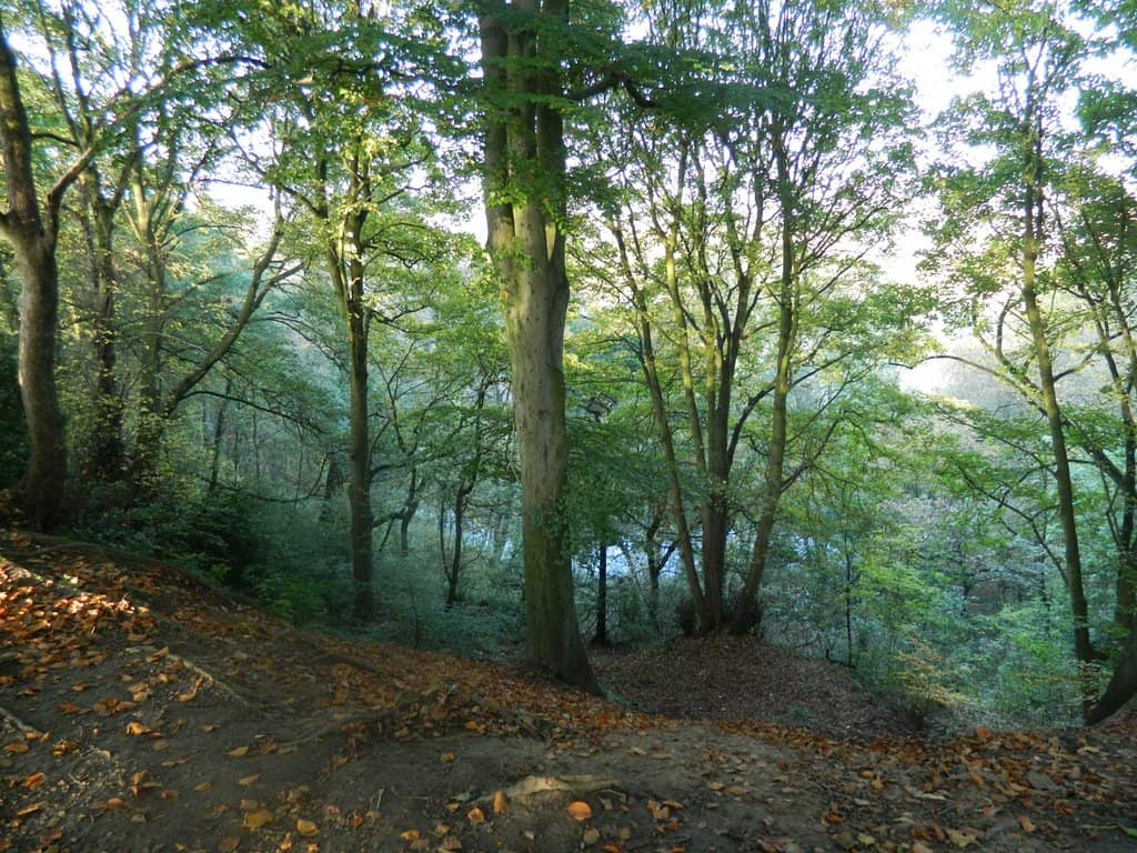 Open Fields & Recreation