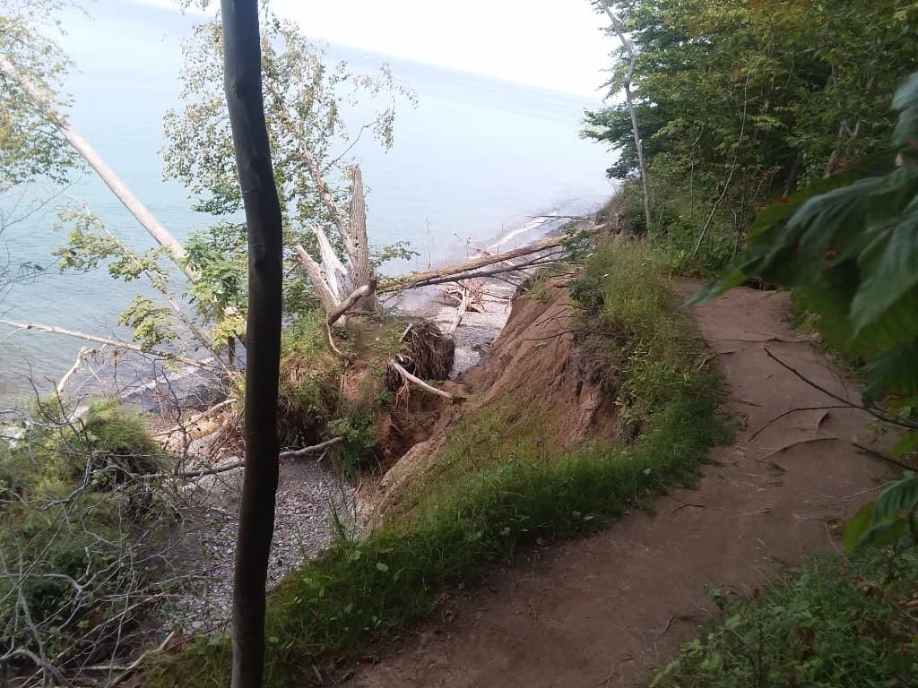 Bluff Trail Views
