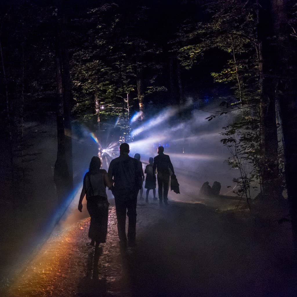 The Illuminated Forest Trail