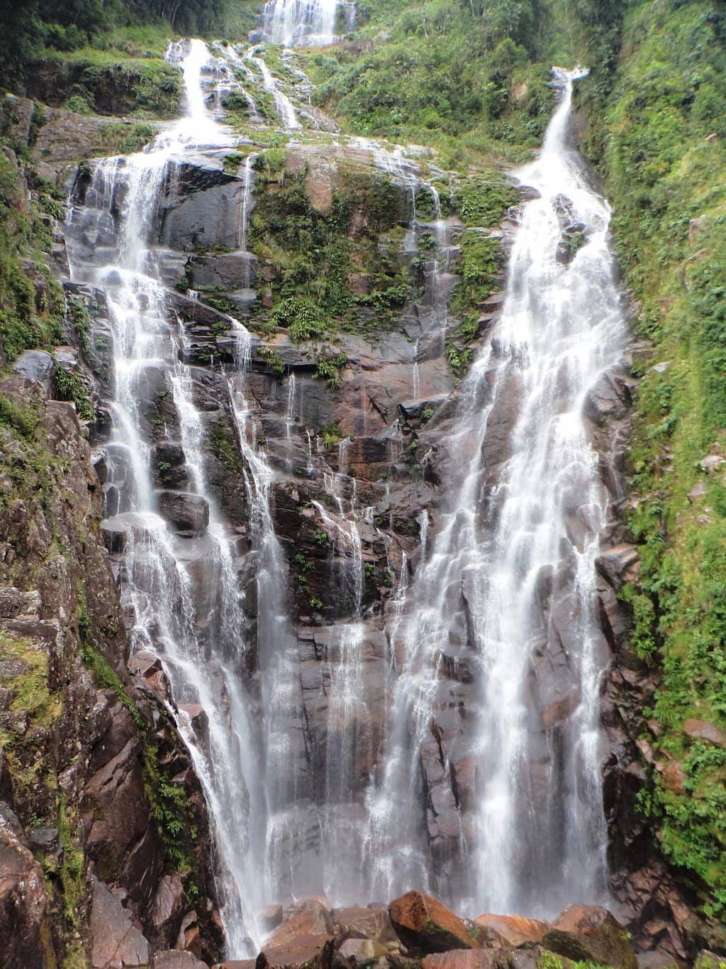 Vertical photo