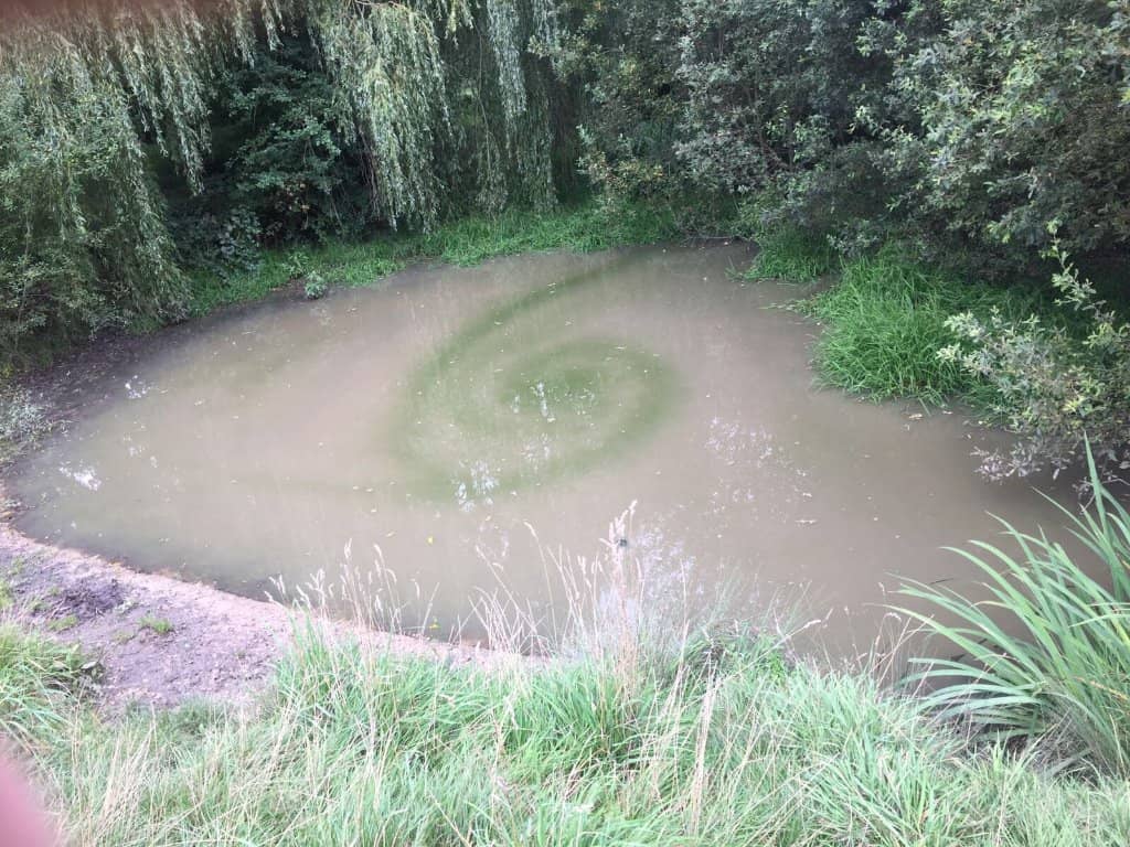 Remnants of Nonsuch Palace