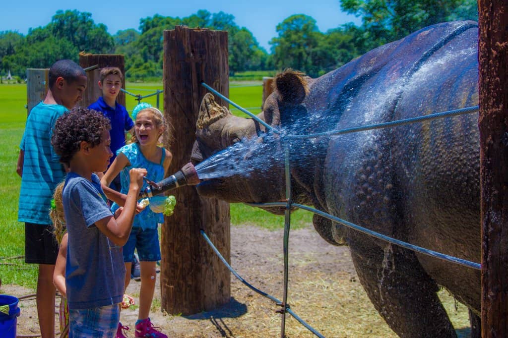 Lemur Feeding Experience