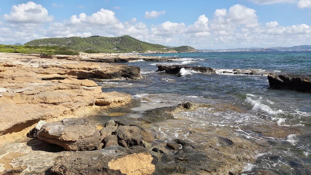 Waterfront Dining Options