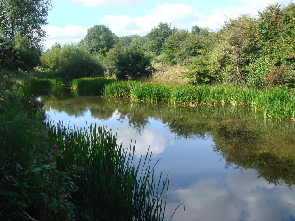 View of Haydock Flash a popular fishing spot