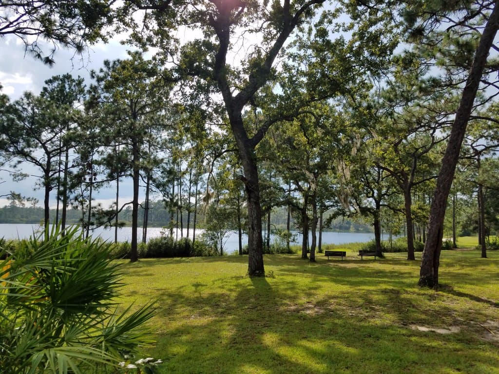 View from Campsite Backyard