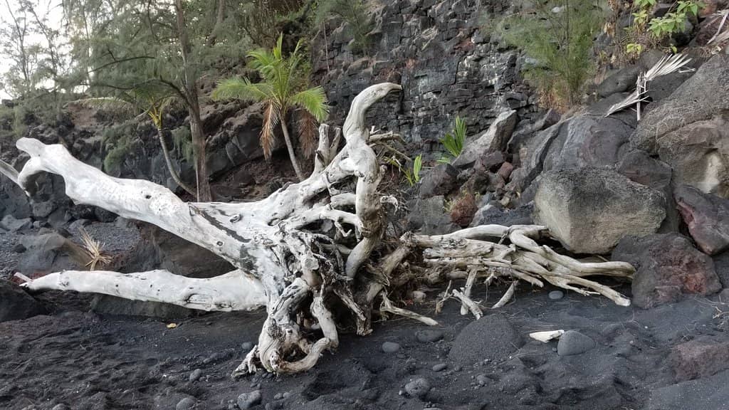 Dramatic Black Sand
