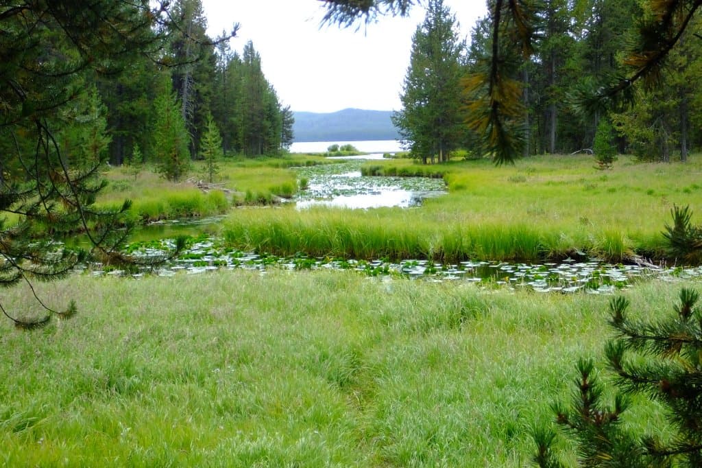 first sight of lake