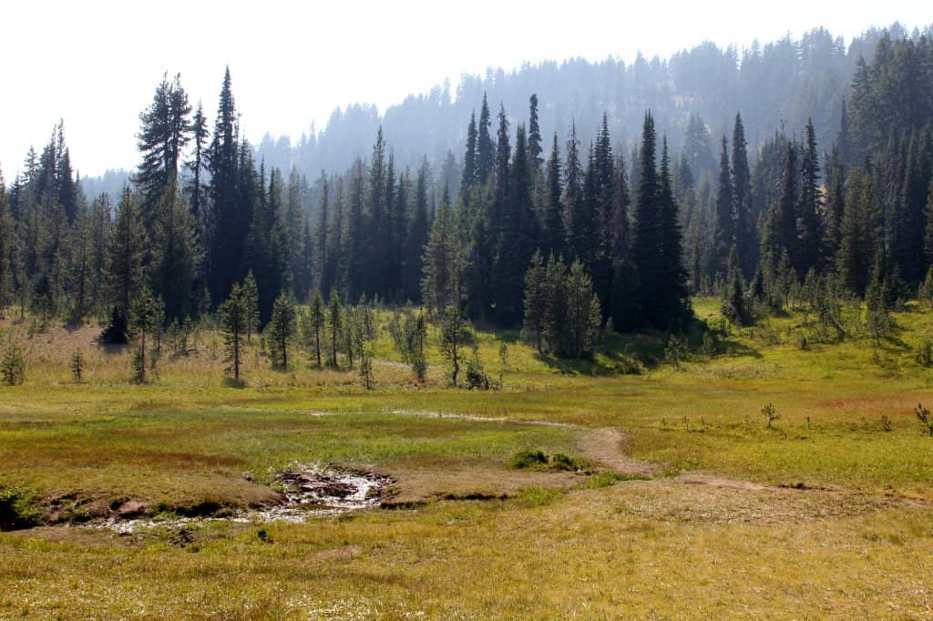 Todd Lake Loop Trail