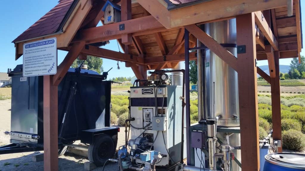 Lavender Ice Cream & Lemonade