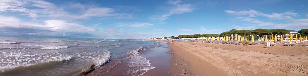 Expansive Sandy Shores