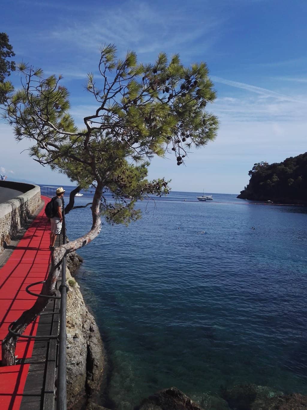 The Scenic Coastal Path