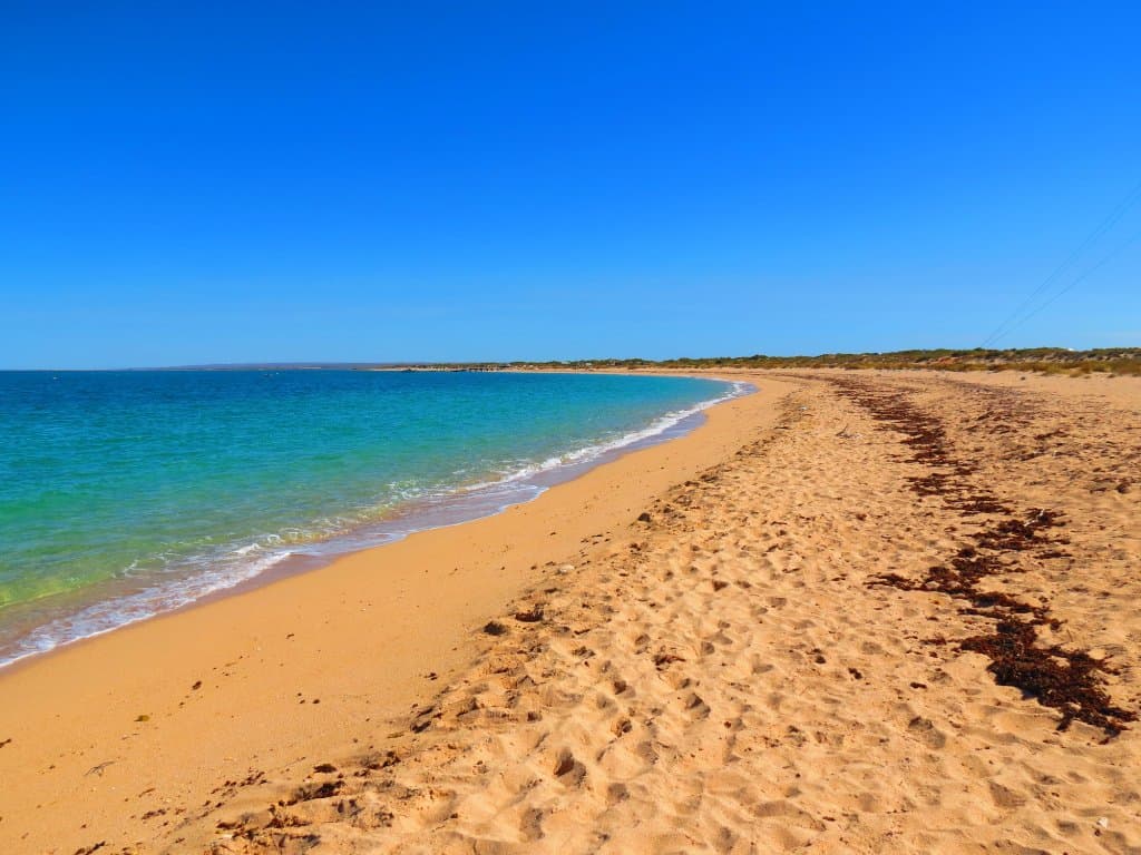 Shore