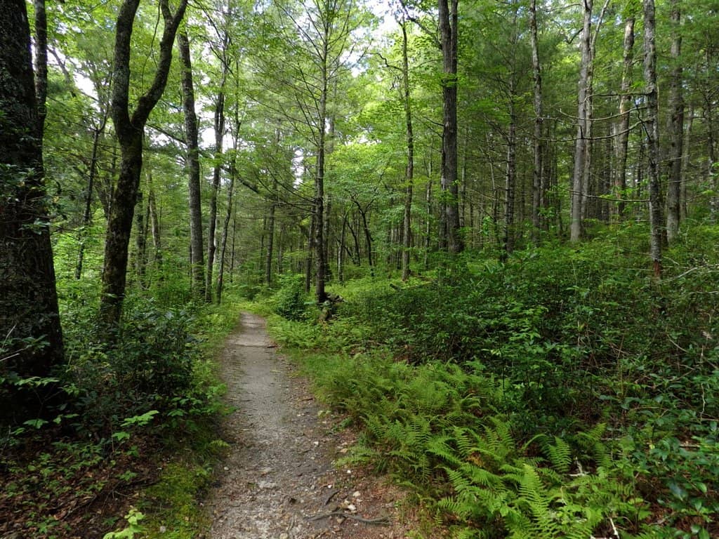Cozy Pink Bedding Sets