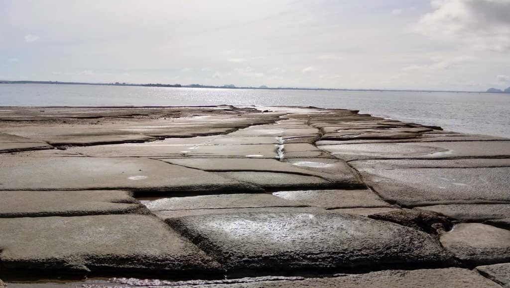 75-Million-Year-Old Fossil Beds