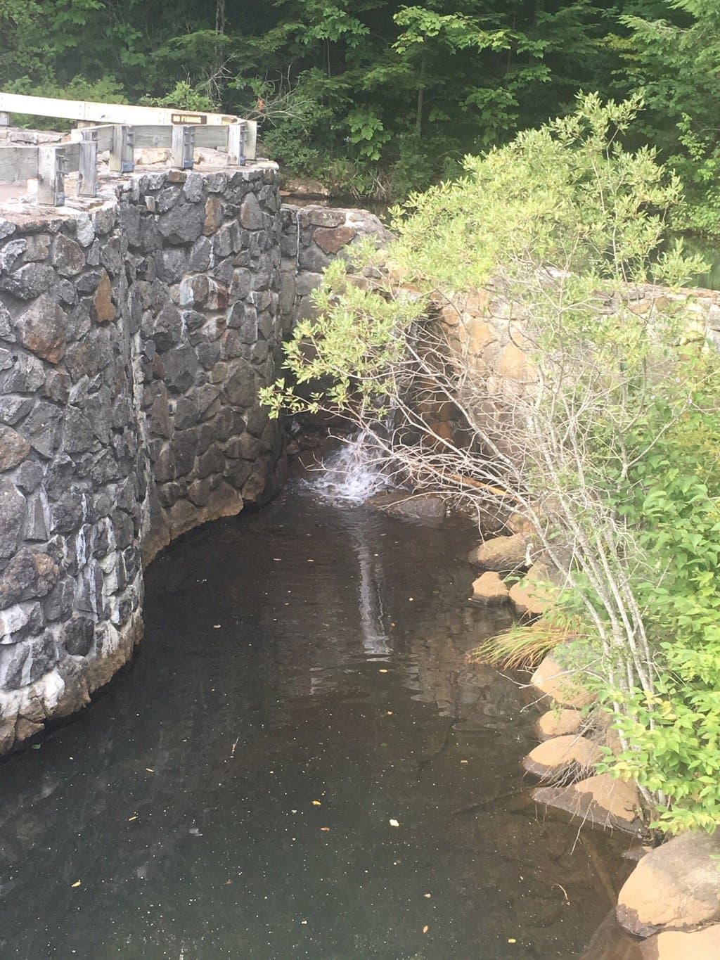 المتعة الحقيقيةبين الأشجار الباسقة المعمرة والمياه الجارية