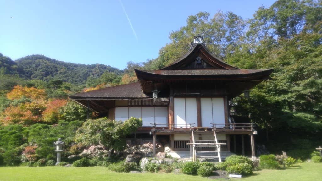 Matcha & Sweets Experience