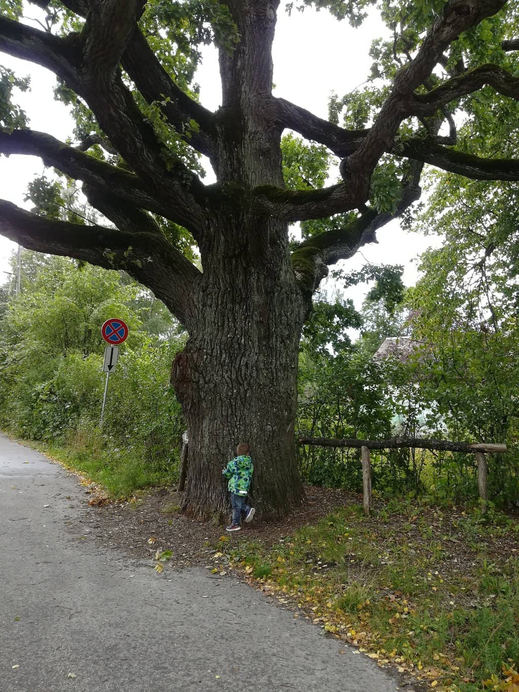 Vertical photo