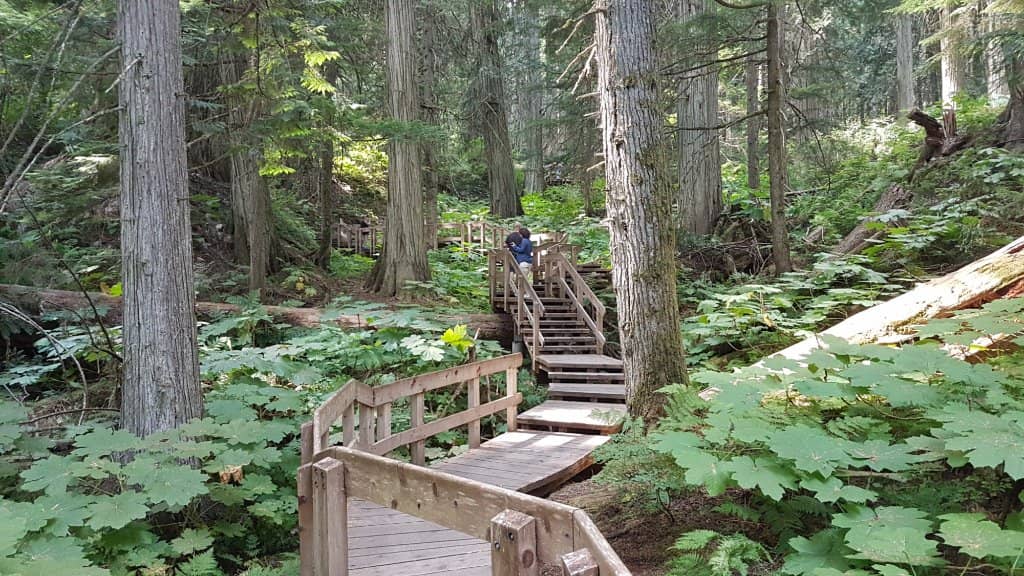 The Boardwalk Path