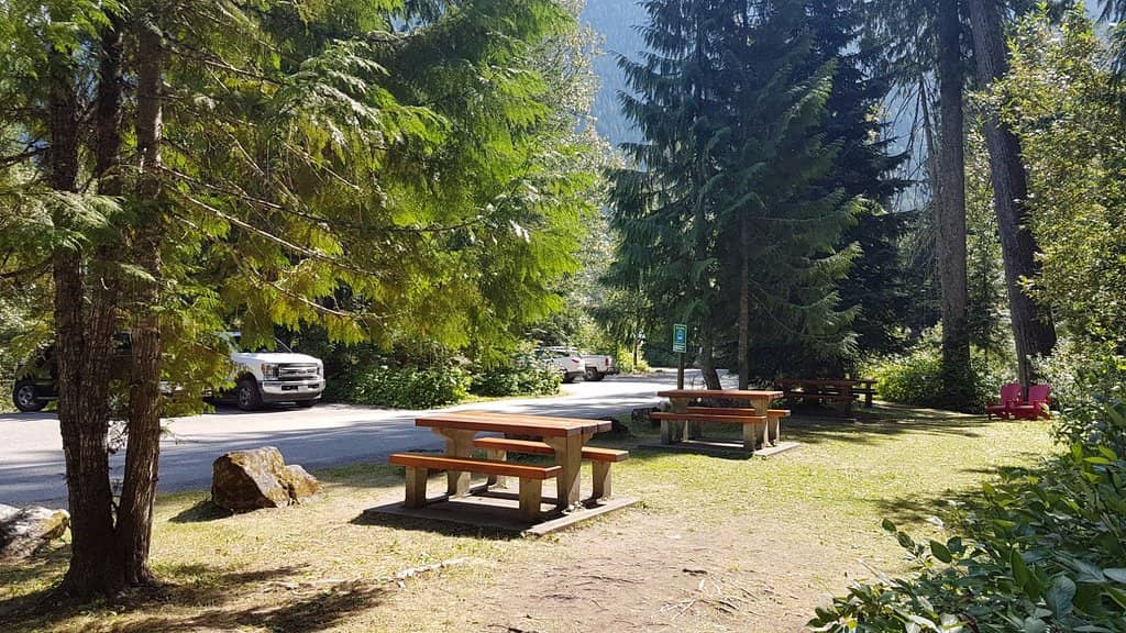 Interpretive Signage