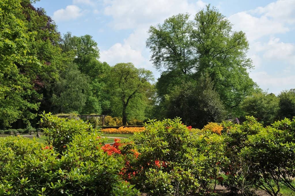 Cascading Water Features