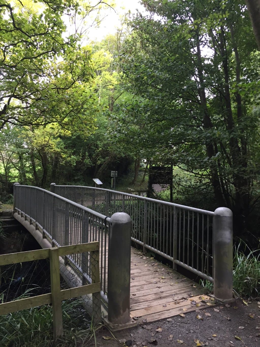 Ballyseedy Wood