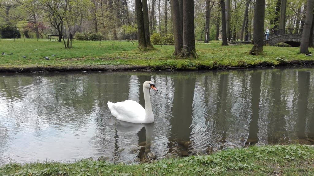 Palace Interior (Limited Access)