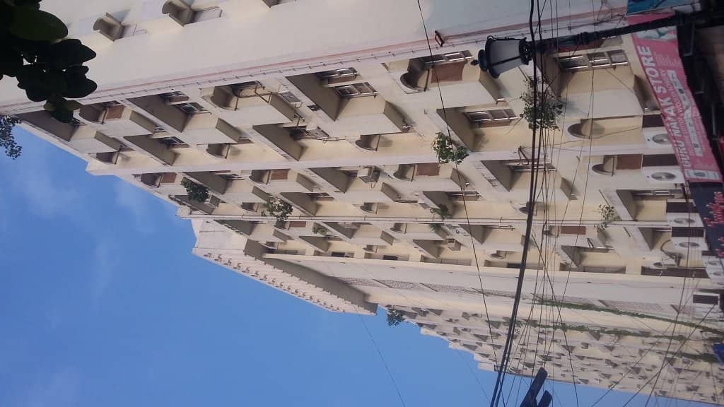 Vertical photo