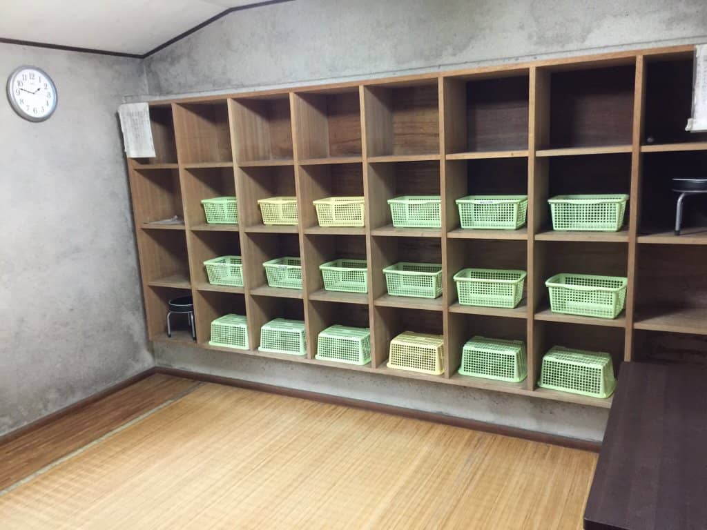 Scenic Hiking Trails