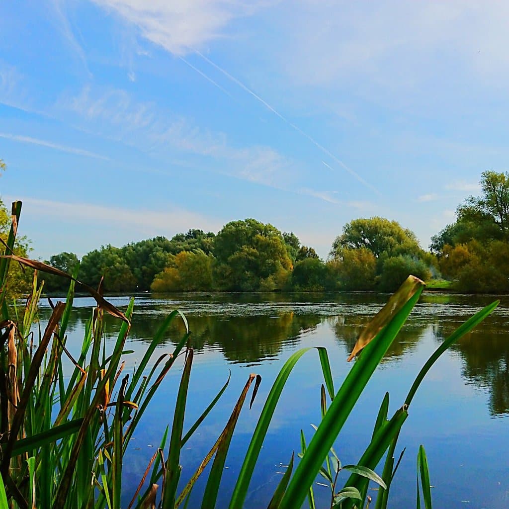 Emberton Country Park
