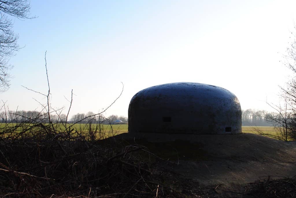 The Underground Labyrinth