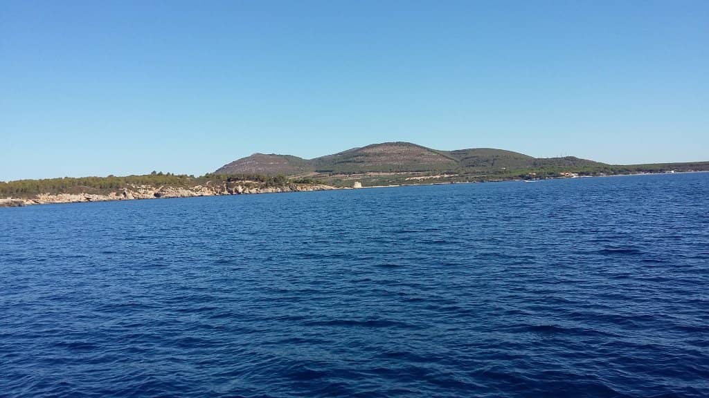 Coastal & Pine Forest Trails