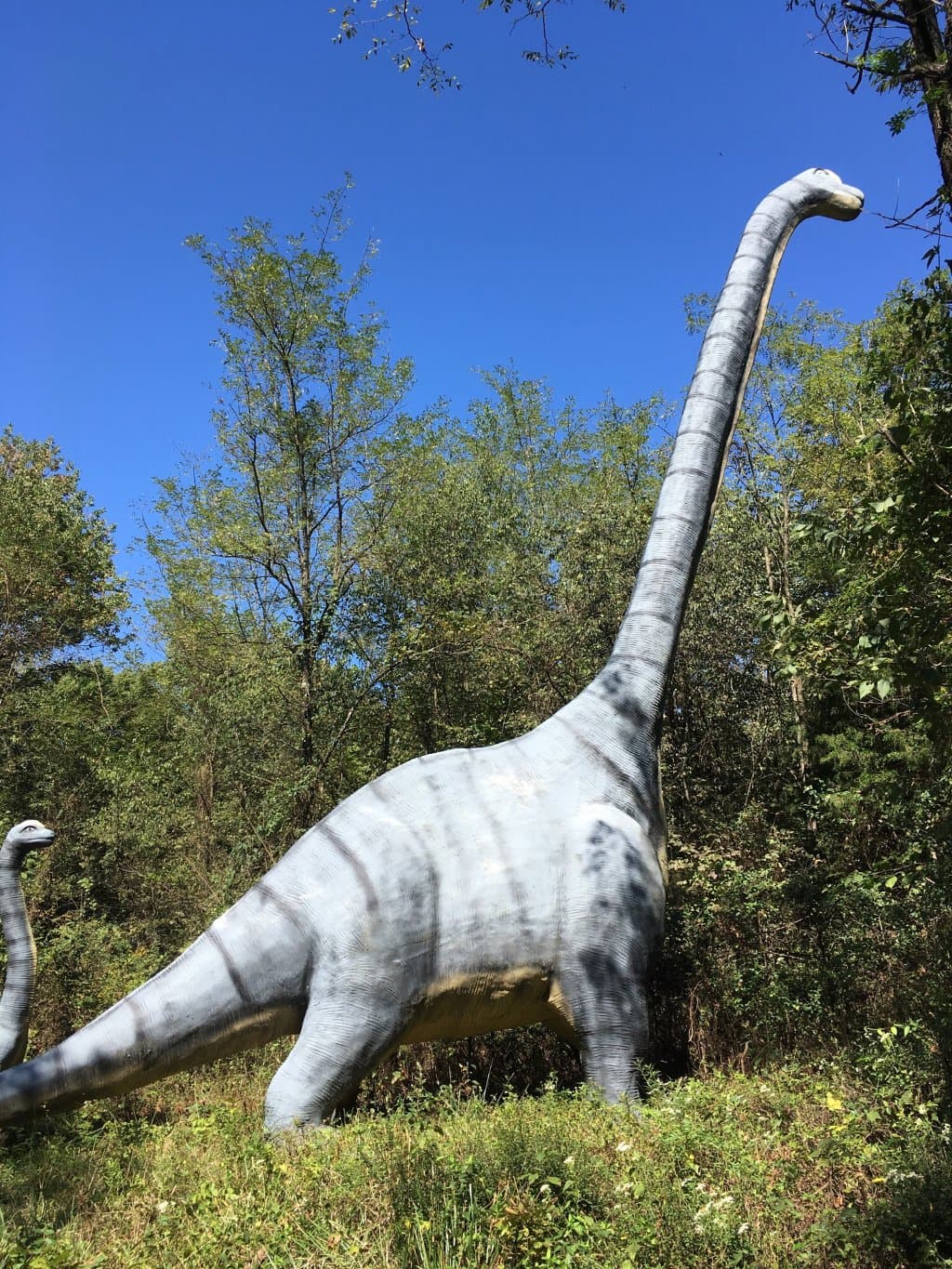 Dinosaur World
