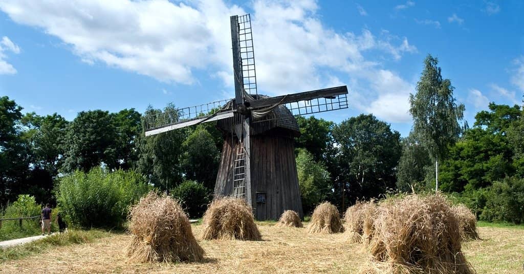 Farm Animals