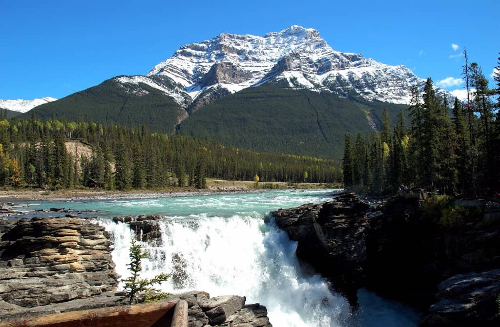 Rocky Mountain Backdrop