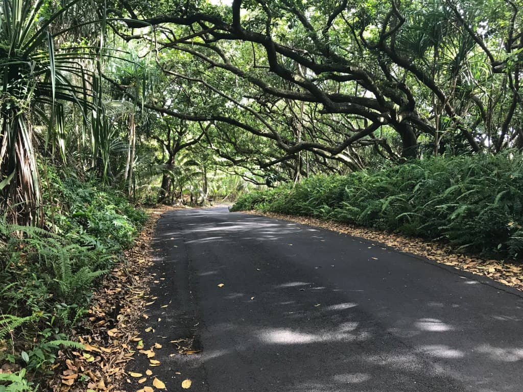 Ocean Vistas & Sounds