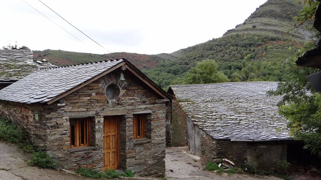 Ancient Forests and Waterfalls