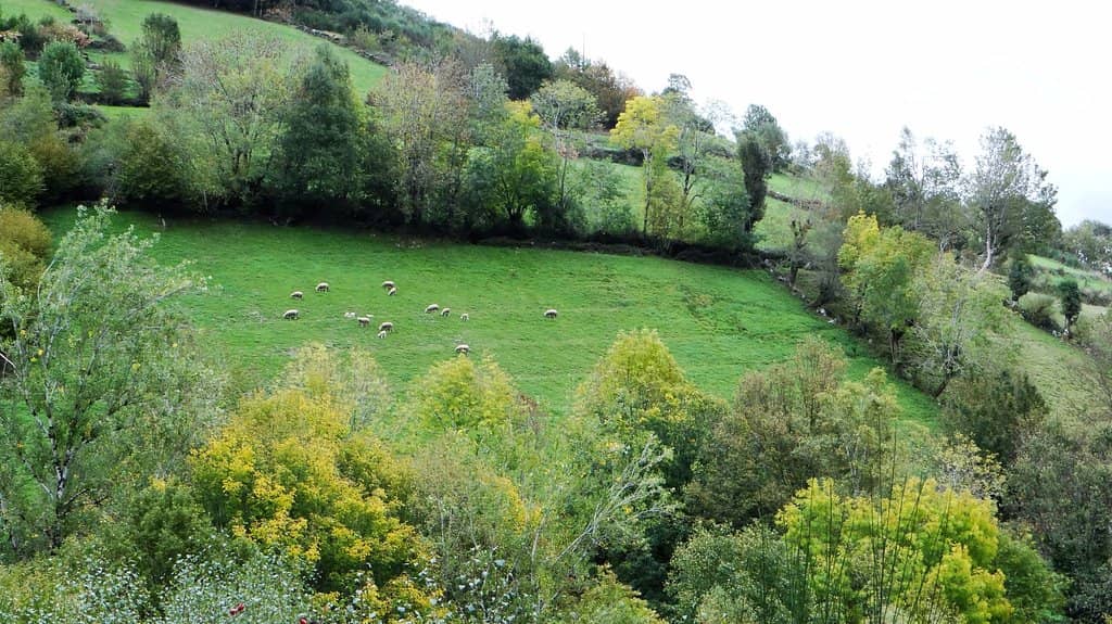 Route 1: The Main Circular Trail