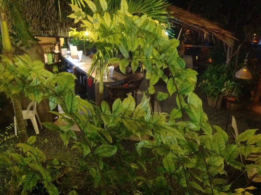 Signature Cote de Boeuf