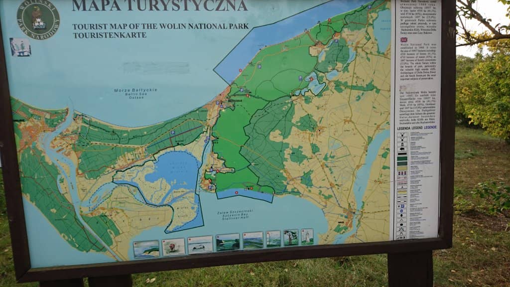 Ancient Beech Forests