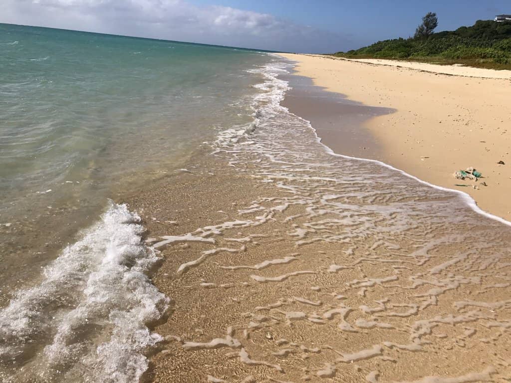 Exposed Coral Gardens