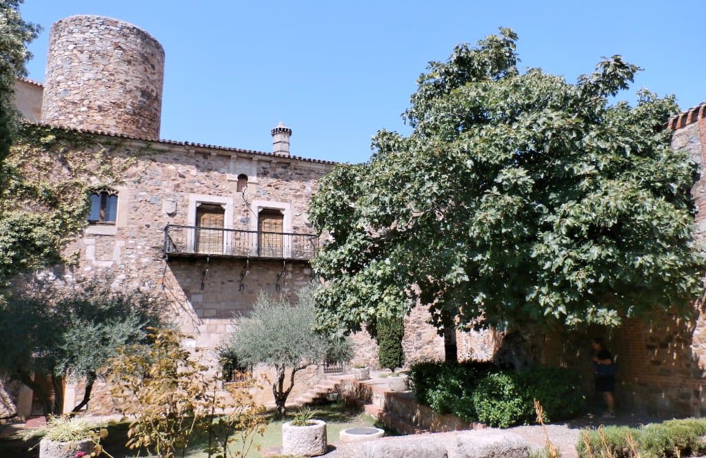 Higuera