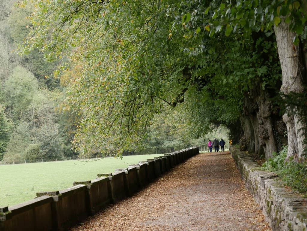 Dovedale Valley & Stepping Stones