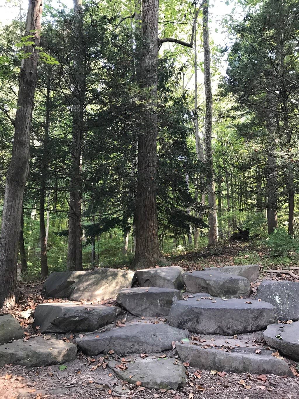 Seasonal Flower Displays