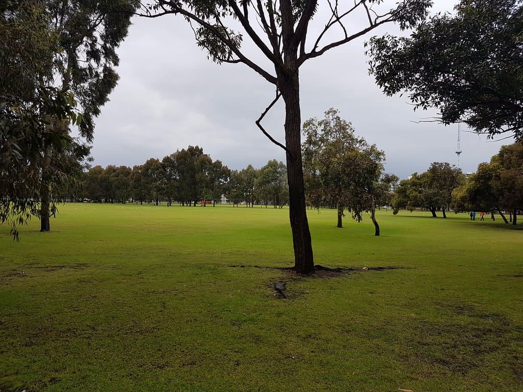 Open Area