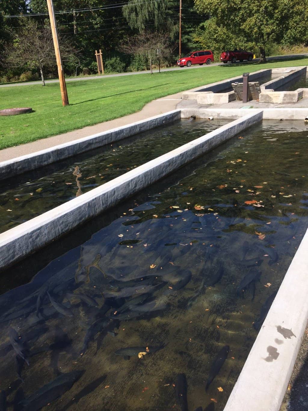 Powder Mills Fish Hatchery