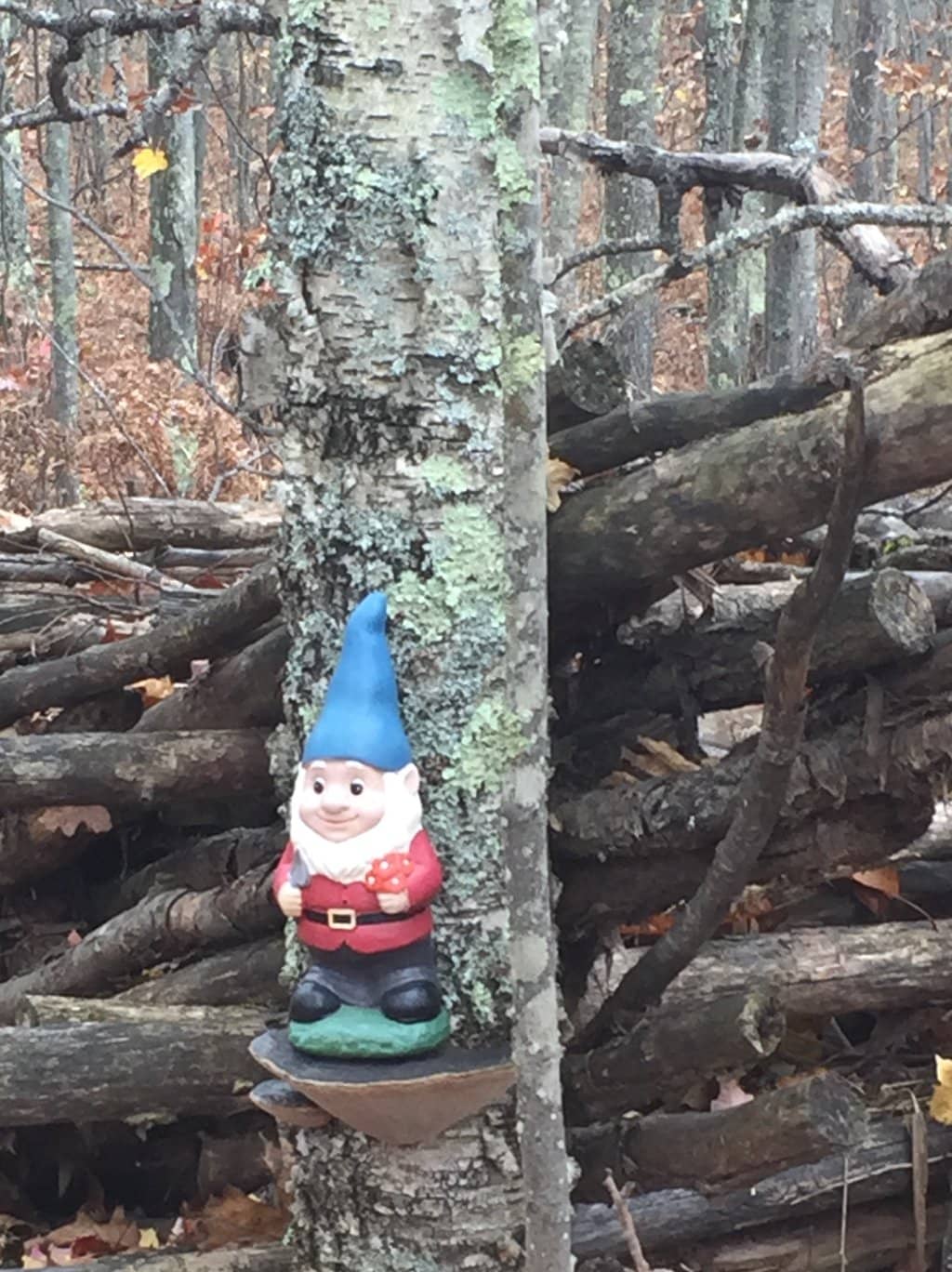 Family-Friendly Pricing