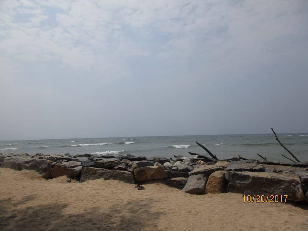 Estuary Confluence
